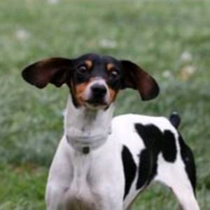 Meet your Posher, Maddie